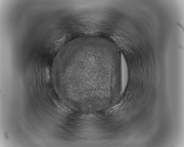 X0000095901106200802081134