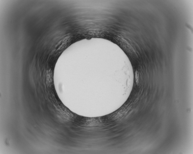 X0000095901107200802081134