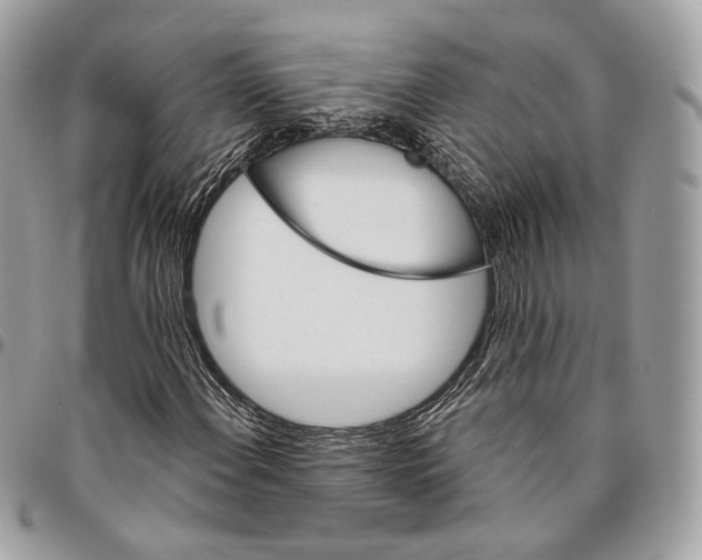 X0000095901108200802081134