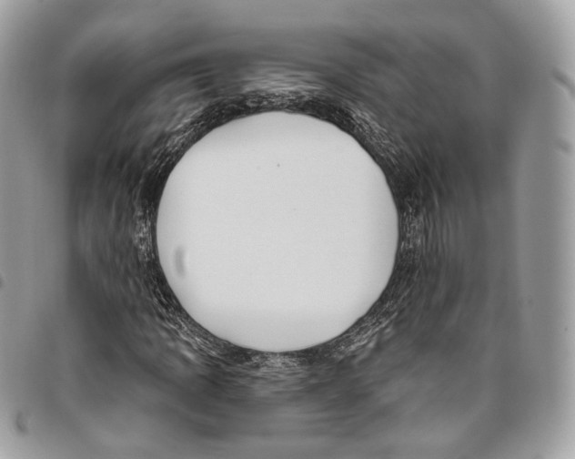 X0000095901109200802081134