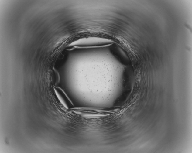 X0000095901110200802081134