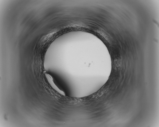 X0000095901111200802081134