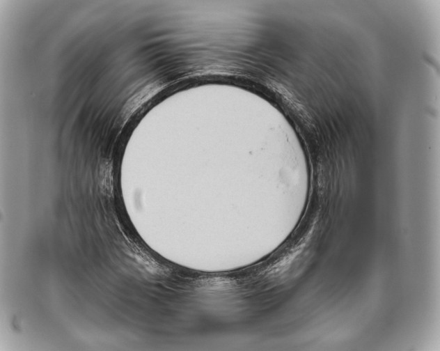 X0000095901113200802081134