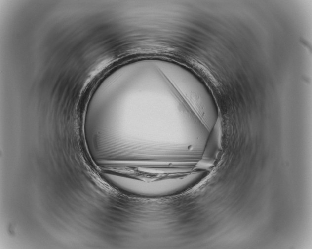 X0000095901114200802081134