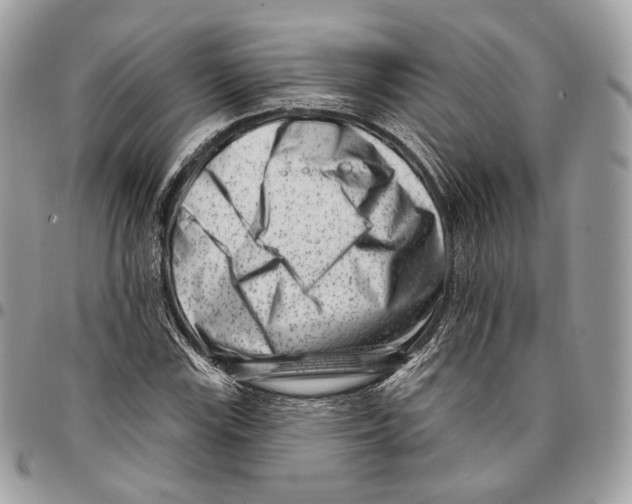 X0000095901115200802081134