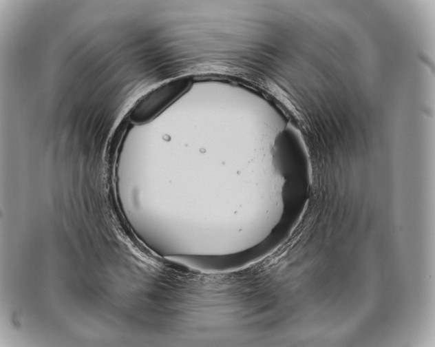 X0000095901116200802081134