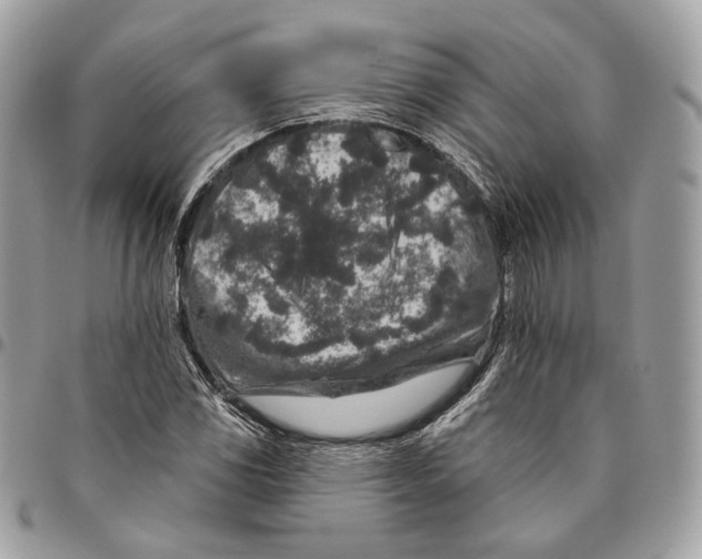 X0000095901117200802081134