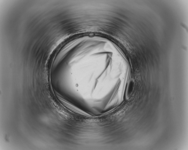 X0000095901118200802081134