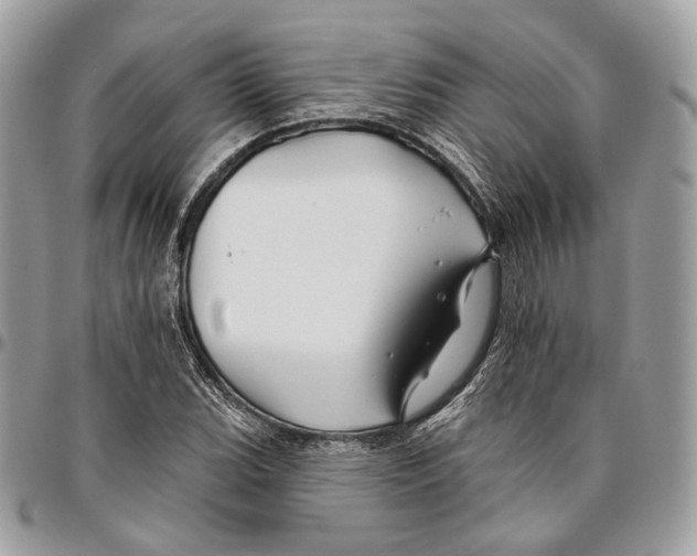 X0000095901119200802081134