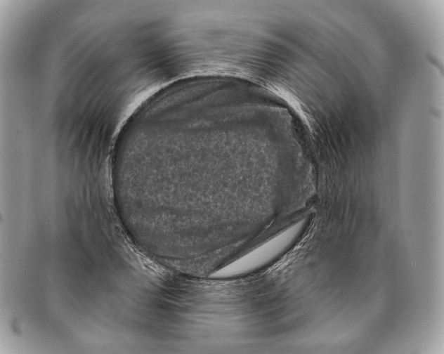 X0000095901120200802081134