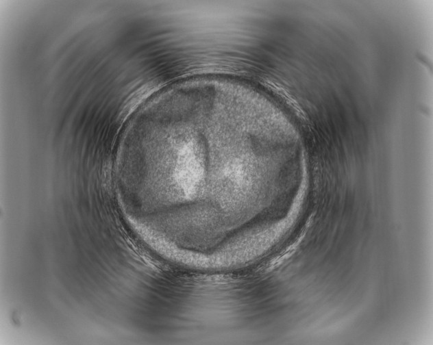 X0000095901121200802081134