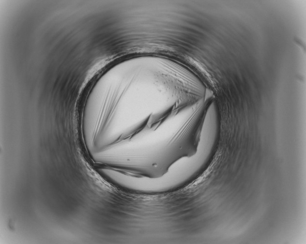 X0000095901122200802081134