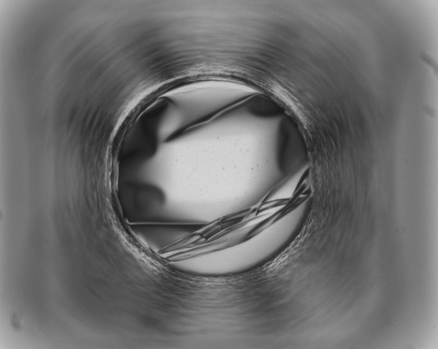 X0000095901124200802081134