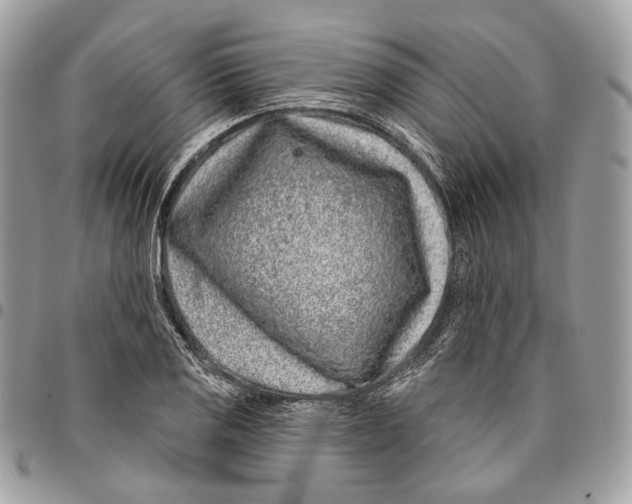 X0000095901125200802081134