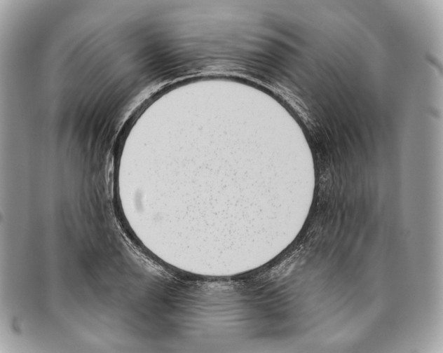 X0000095901126200802081134