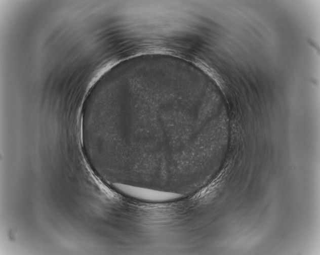 X0000095901127200802081134