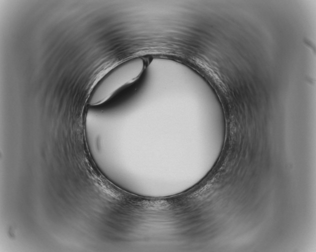 X0000095901129200802081134