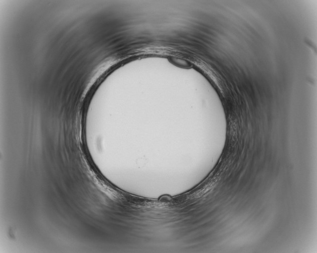 X0000095901131200802081134