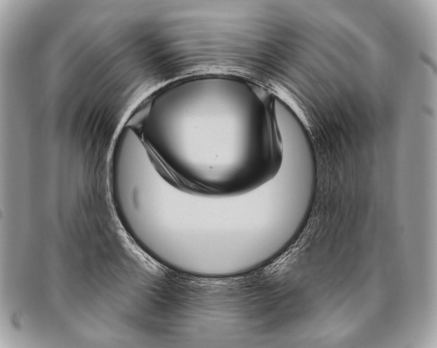 X0000095901132200802081134