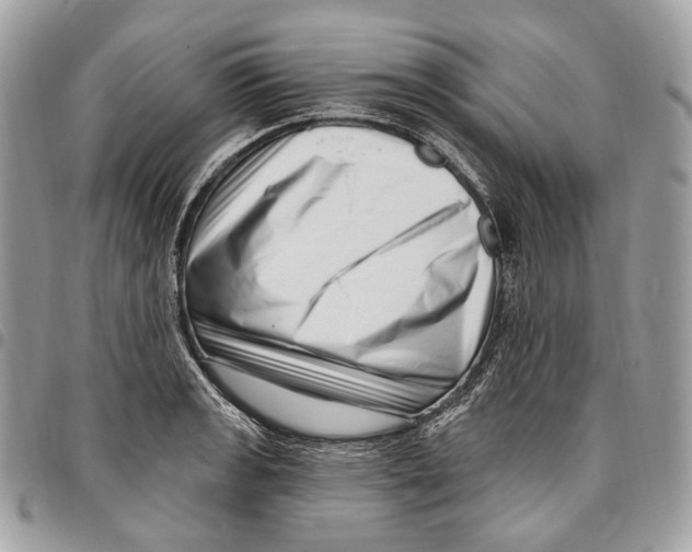 X0000095901133200802081134