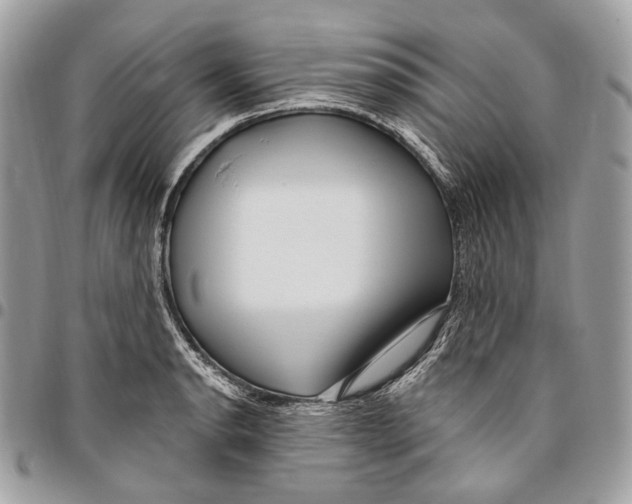 X0000095901134200802081134