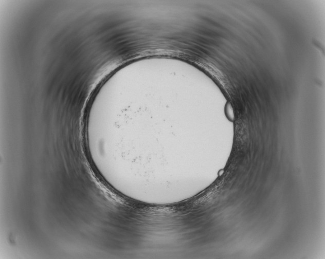 X0000095901135200802081134