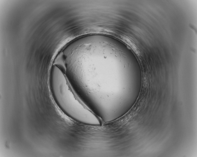 X0000095901136200802081134