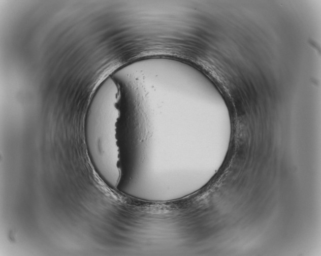 X0000095901137200802081134