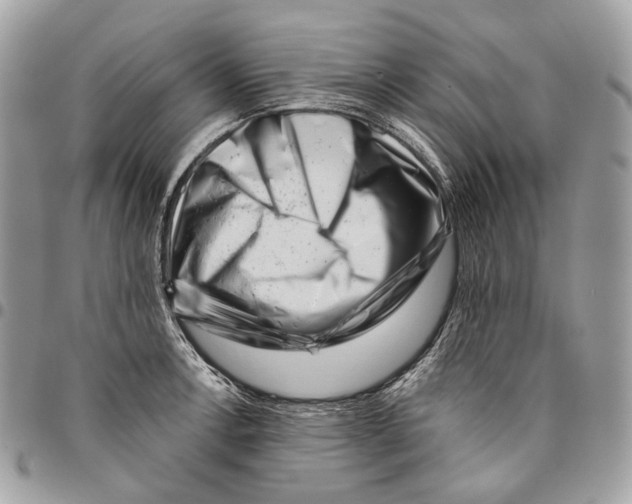 X0000095901138200802081134