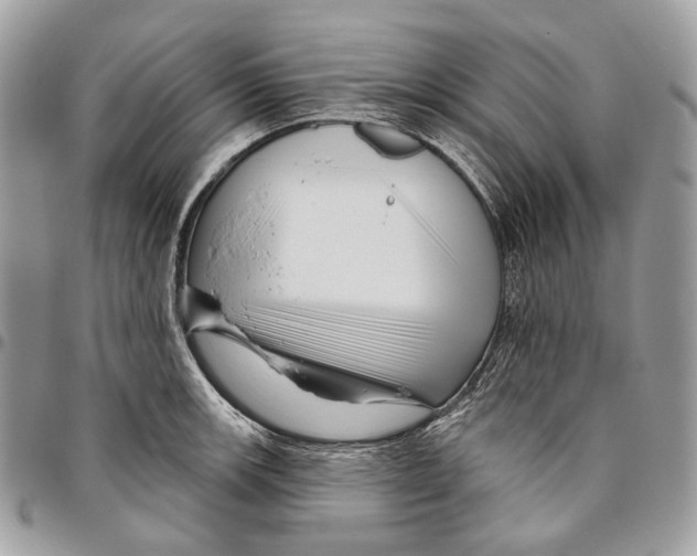 X0000095901139200802081134