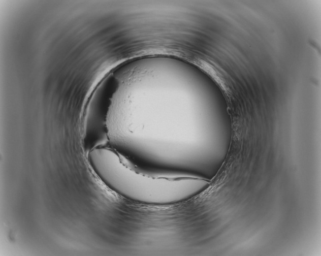 X0000095901140200802081134