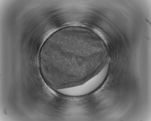 X0000095901141200802081134