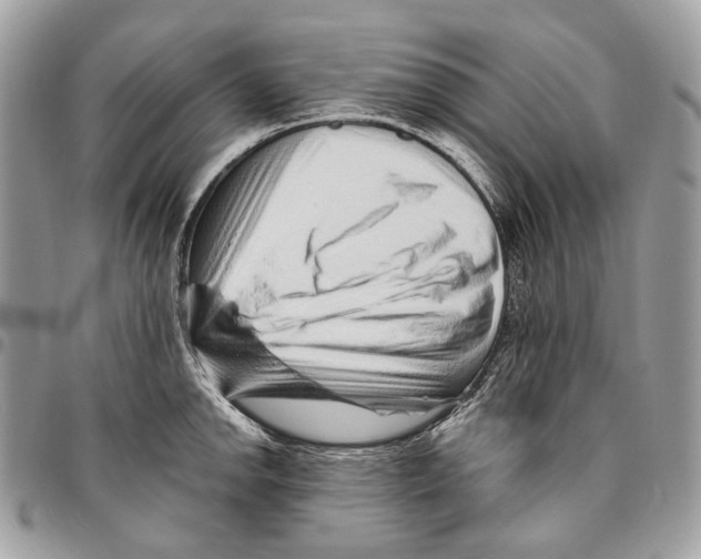 X0000095901142200802081134