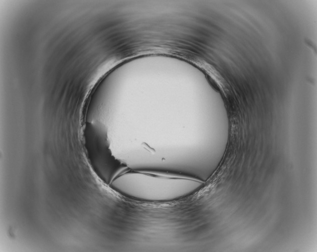 X0000095901143200802081134