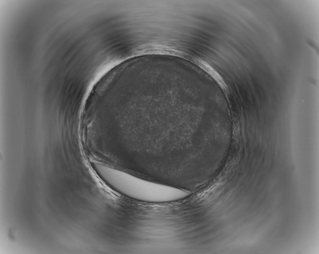 X0000095901144200802081134