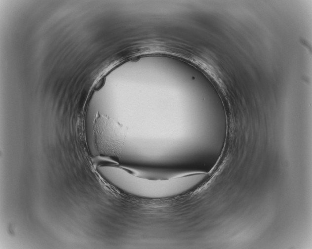 X0000095901145200802081134