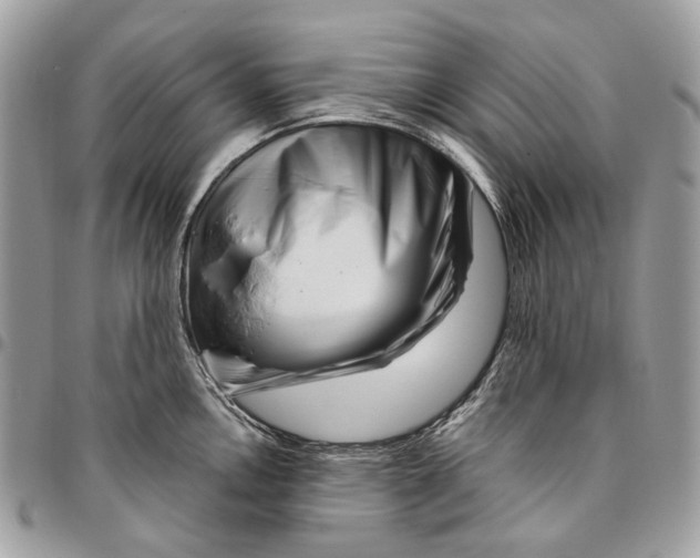 X0000095901146200802081134