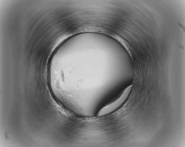 X0000095901147200802081134