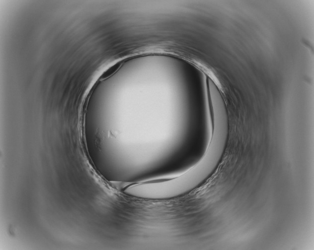 X0000095901148200802081134