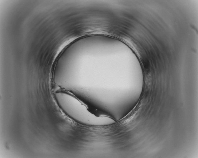 X0000095901149200802081134