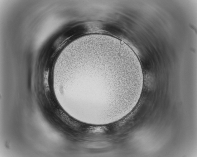 X0000095901150200802081134