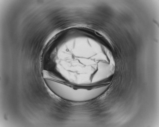 X0000095901151200802081134