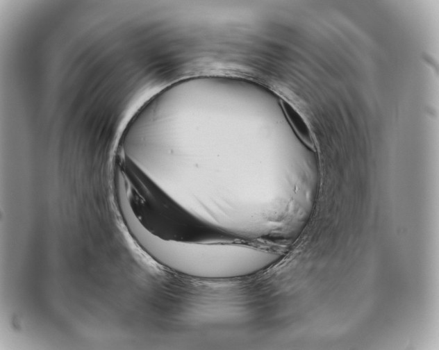 X0000095901152200802081134