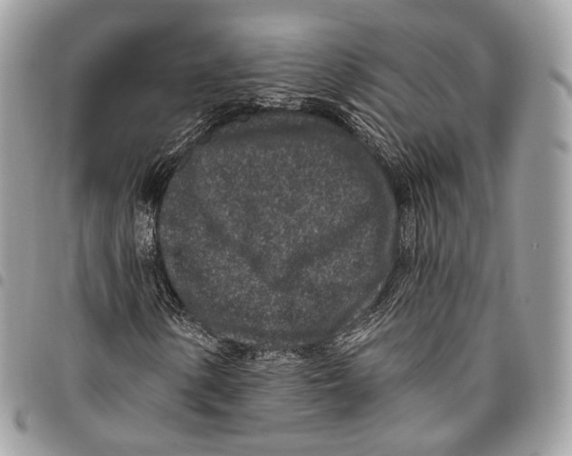 X0000095901154200802081134