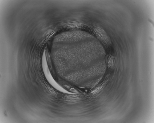 X0000095901156200802081134