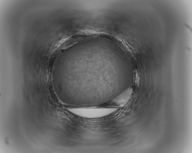 X0000095901157200802081133