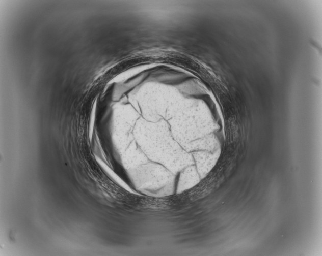 X0000095901158200802081133