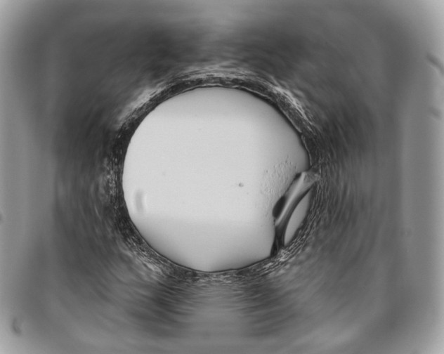 X0000095901159200802081133