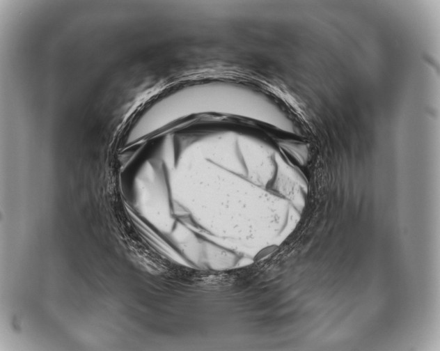 X0000095901160200802081133