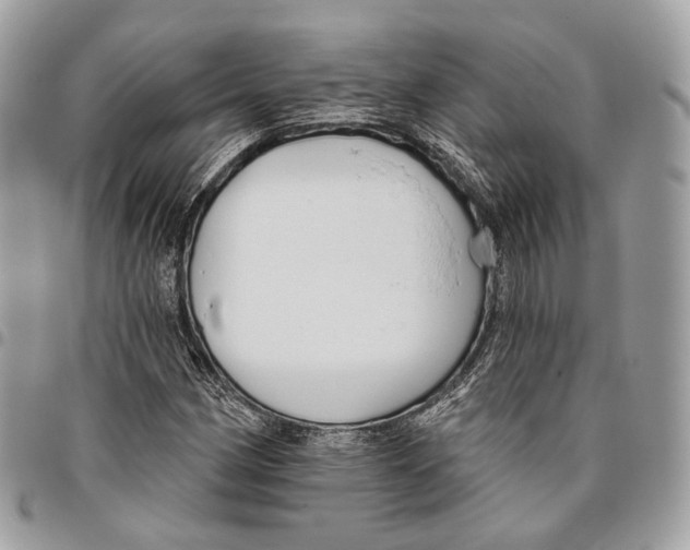 X0000095901162200802081133